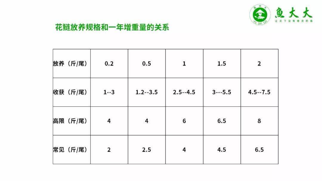 白鲢高产养殖技术_白鲢养殖技术视频_白鲢的养殖