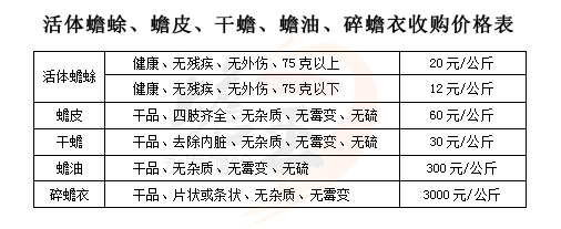 癞蛤蟆养殖技术 养殖癞蛤蟆能有多大经济效益？能挣多少钱？