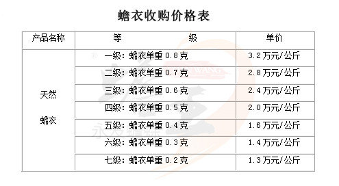 蟾蜍养殖 蟾蜍养殖技术 蟾蜍养殖场 癞蛤蟆养殖 癞蛤蟆养殖技术