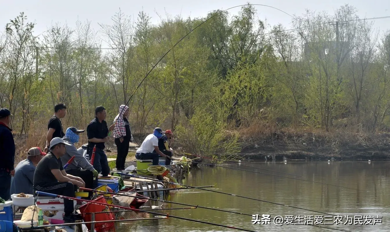 致富好项目种植_致富新手种植项目是什么_种植新手致富项目