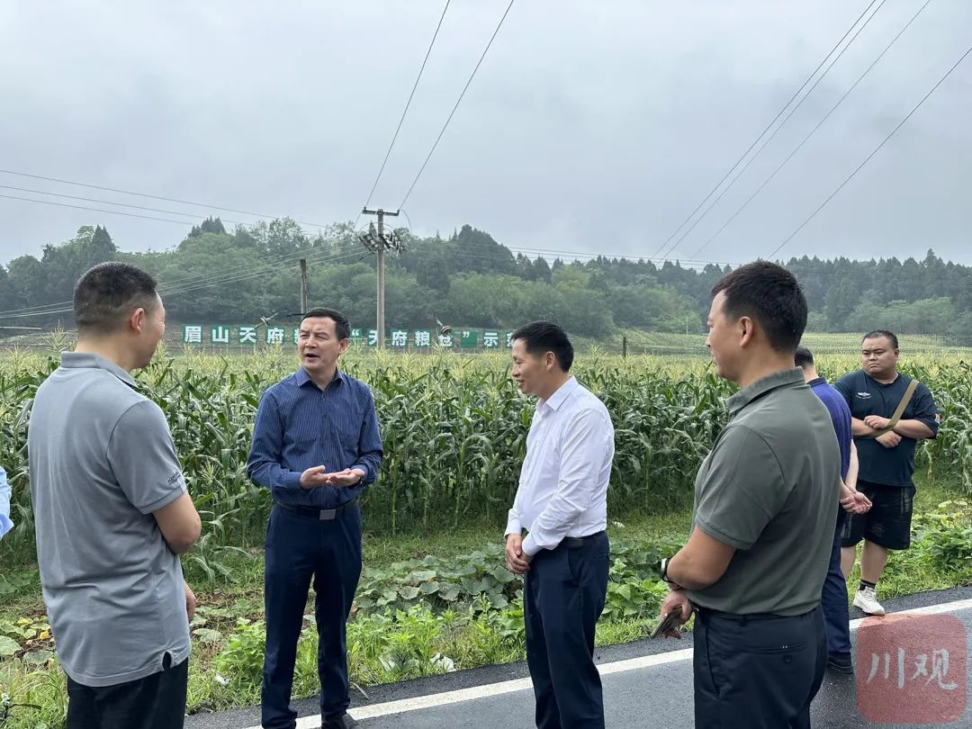 宜宾江北致富路_宜宾致富路在哪里_宜宾种植致富思路