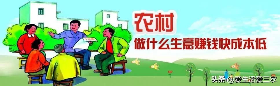 能让农民快速致富的八个行业，快学起来吧！