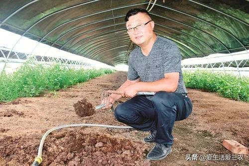 致富新手种植项目有哪些_种植新手致富项目_致富好项目种植