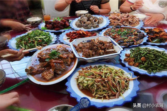 致富种植什么比较赚大钱_种植新手致富项目_致富新手种植项目是什么