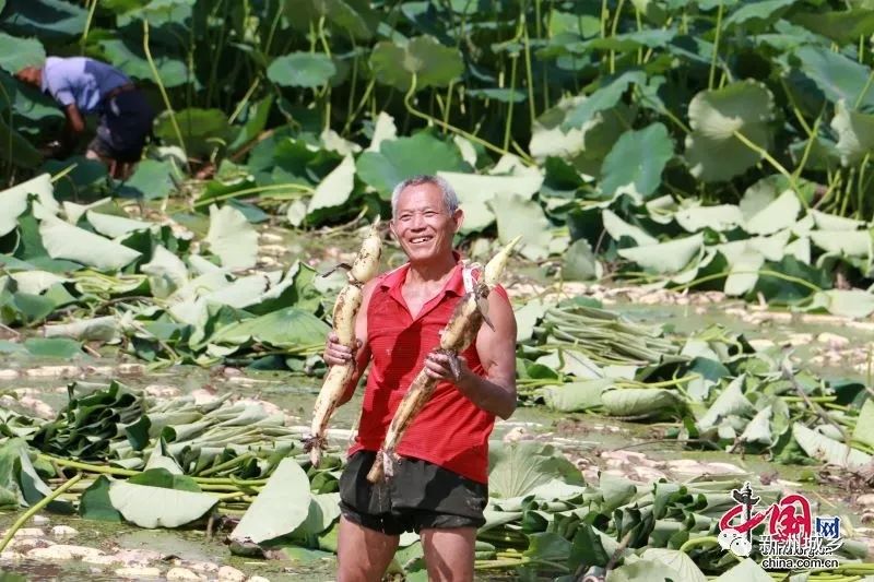 宜宾江北致富路_宜宾致富石材_宜宾种植致富思路