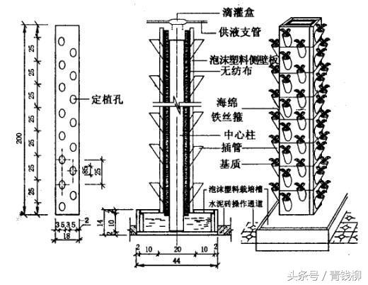 温室立体种植技术_温室立体图片_立体温室种植技术要点