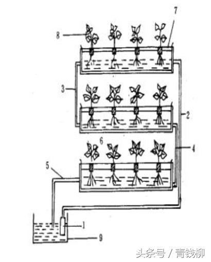 立体温室种植技术要点_温室立体种植技术_温室立体图片