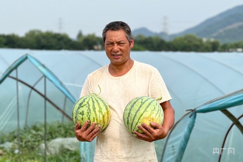 农场种植致富新路_致富经农业种植_致富农场app下载