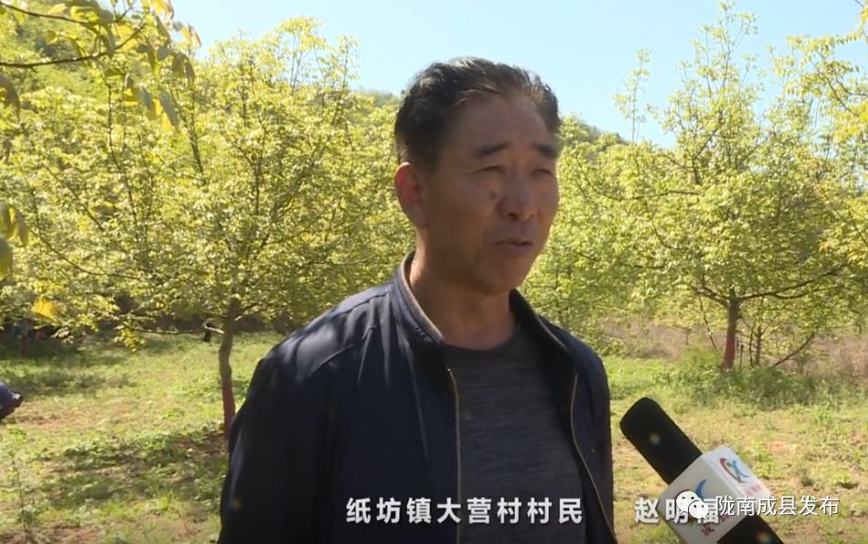 农村核桃种植致富_致富核桃种植农村有补贴吗_农村种植核桃有没有补贴政策