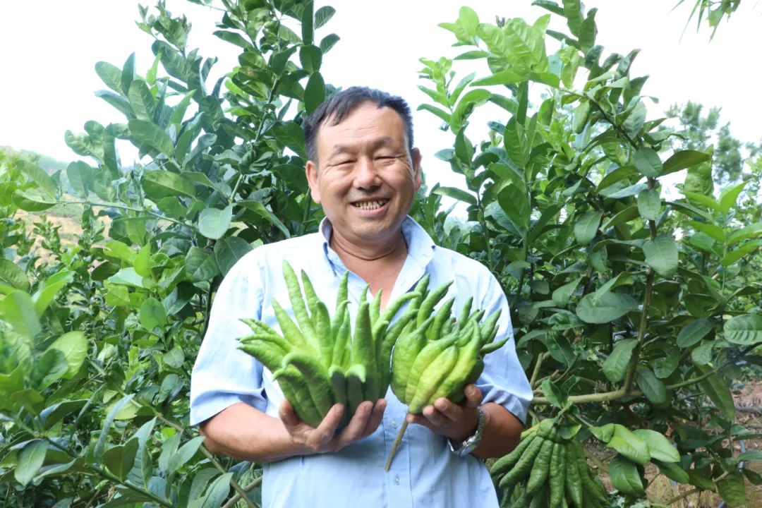 致富水果种植基地地址_大型水果种植基地_水果基地种植致富