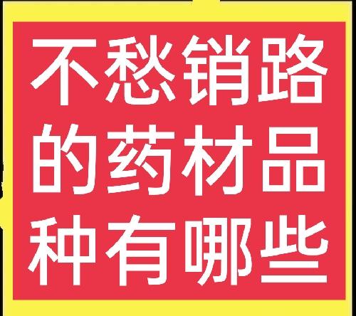 农村种植哪些药材比较简单，能赚钱且不愁销路？这五种值得一试