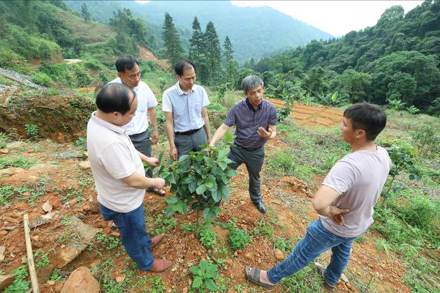 致富经农业种植_致富经农场_农场种植致富新路