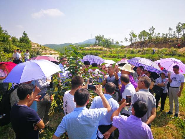 致富经农场_农场种植致富新路_致富经农业种植