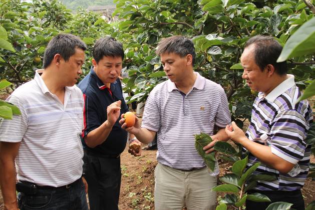 农场种植致富新路_致富经农场_致富经农业种植