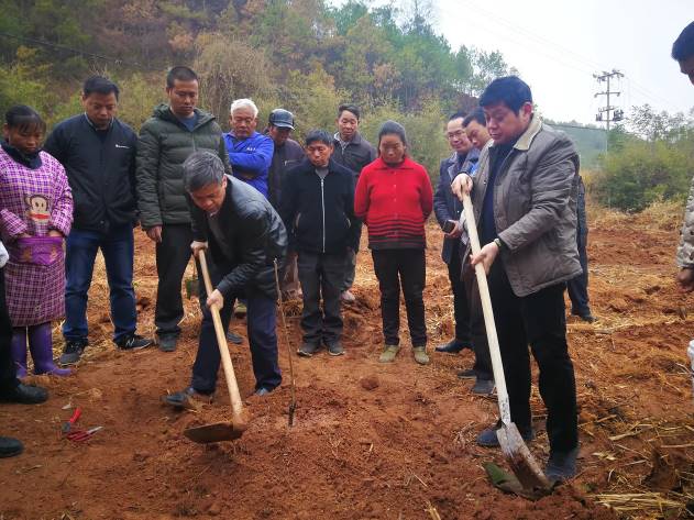 致富经农场_致富经农业种植_农场种植致富新路