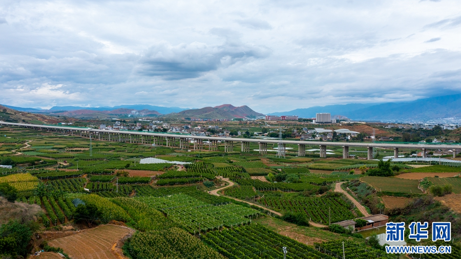 水果基地种植致富_致富水果种植基地地址_水果种植基地介绍简介