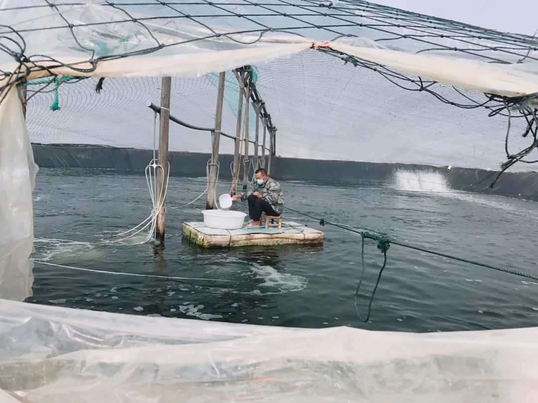 海水养殖好项目_海水养殖致富宝典_海水致富养殖宝典视频