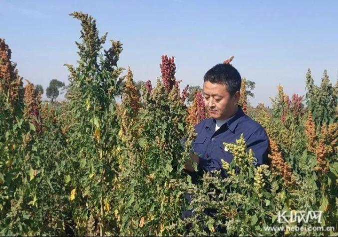 致富经南瓜种植视频_致富种植南瓜_南瓜种植利润怎么样