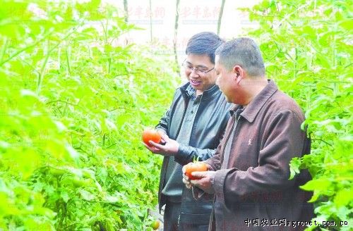 永康市双丰包装彩印厂