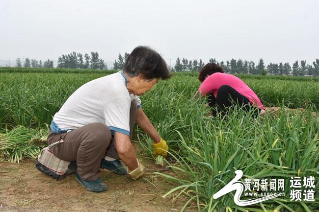 养殖蛆虫前景_蛆虫养殖致富_养蛆虫致富视频