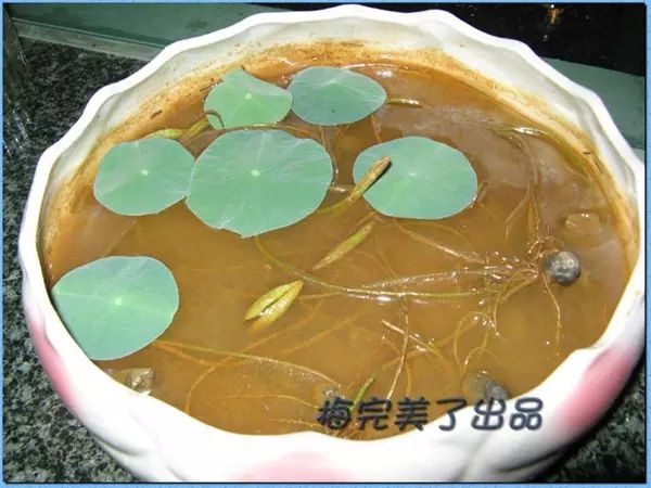 眉豆种植技术_种植技术眉豆视频教程_眉豆种植