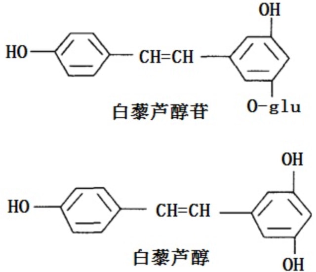 胡萝卜种植技术视频讲座_致富经胡萝卜种植视频_种植胡萝卜致富新闻