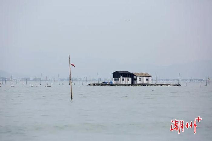 沿海行丨潮州饶平汛洲岛：世外桃源在沿海经济带建设中的乡村机遇