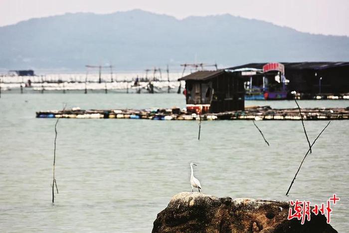 沿海行丨潮州饶平汛洲岛：世外桃源在沿海经济带建设中的乡村机遇