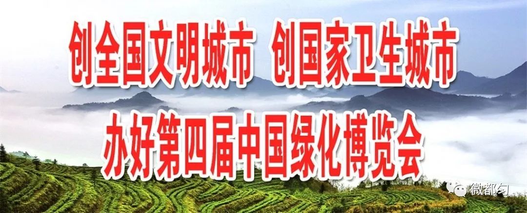 贵州石蛙养殖技术视频_贵州养石蛙基地_贵州石蛙养殖技术