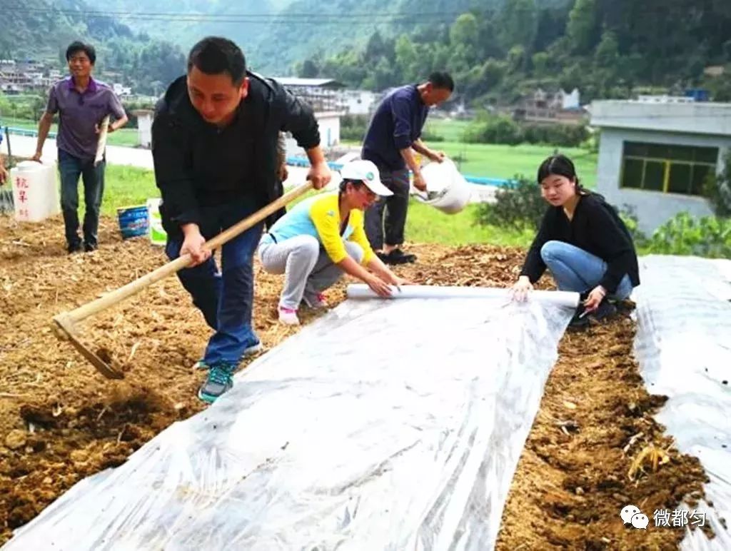 贵州石蛙养殖技术_贵州石蛙养殖技术视频_贵州养石蛙基地