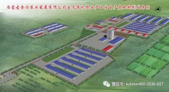 河南种鸡养殖技术基地_河南鸡苗养殖基地_河南的养鸡场