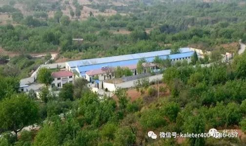 河南的养鸡场_河南种鸡养殖技术基地_河南鸡苗养殖基地