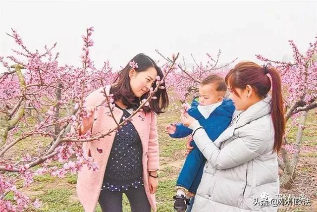 小康种植致富项目_致富小康之路_致富小康种植项目怎么样