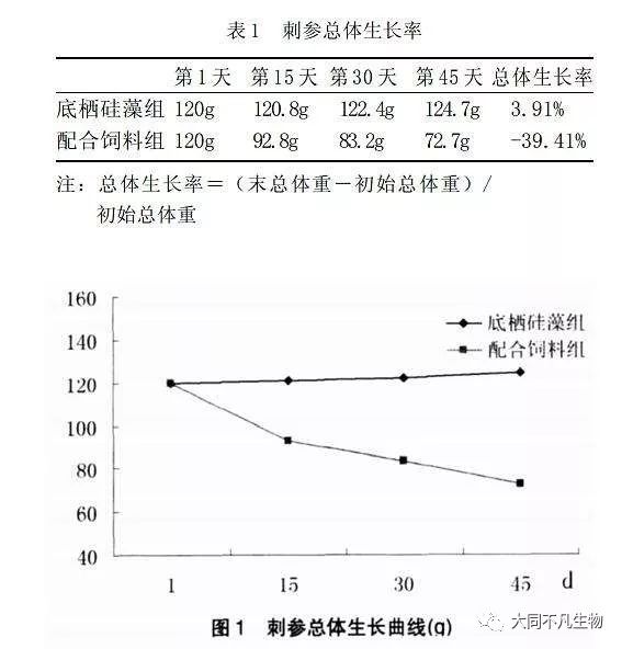 海参养殖过程_海参养殖播底技术有哪些_底播海参养殖技术