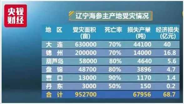 海参养殖技术要点讲课_海参养殖技术视频_底播海参养殖技术