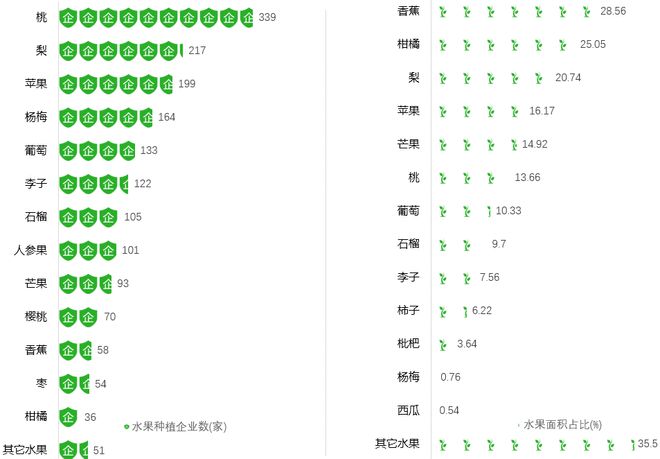 云南水果种植新品种及前景_云南种植水果的有利自然条件_云南水果种植致富