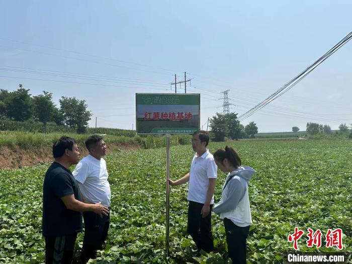 运城致富种植_山西运城适合种植什么药材_运城种地