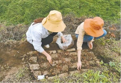 椒的种植技术_野外种植致富椒_野山椒种植一亩地成本