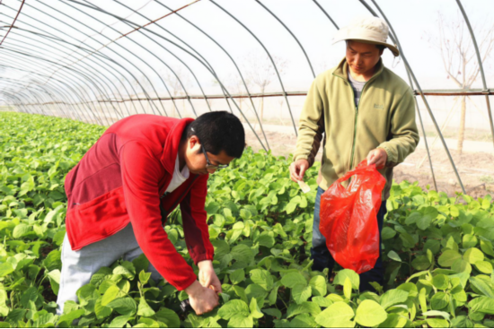 致富养殖农垦项目介绍_致富养殖农垦项目招标_农垦养殖致富项目