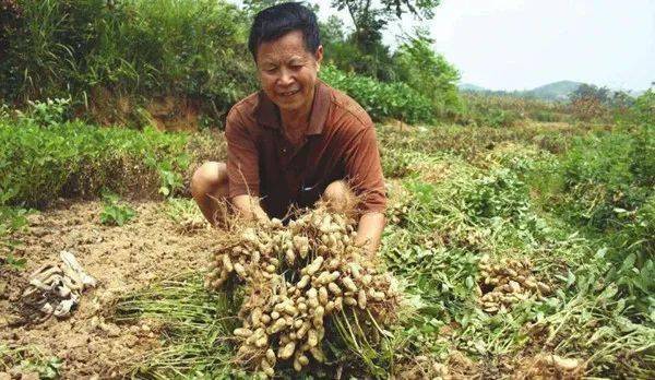 致富养殖好项目大全_养殖种植致富项目_致富养殖业