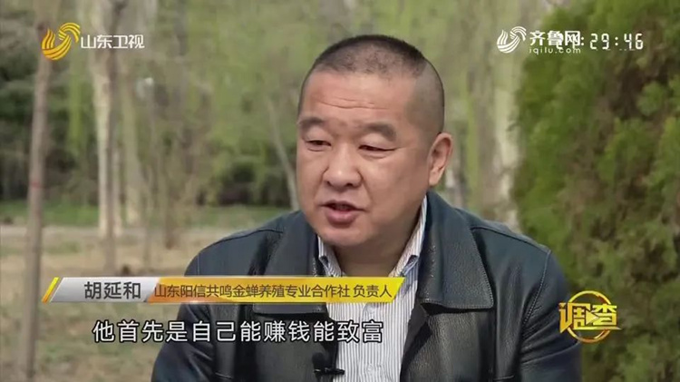 致富经养蝎子全集_致富经养蝎子_致富经养虫