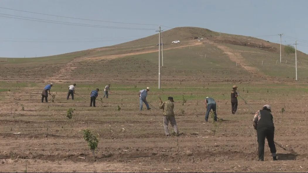 致富养殖好项目大全_养殖种植致富项目_致富养殖种植项目介绍