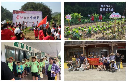 视频养殖泥鳅中华技术教程_养殖泥鳅视频全过程_中华泥鳅养殖技术视频