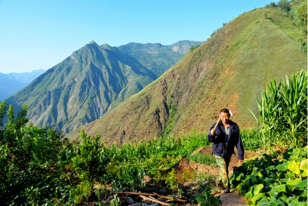 大山养殖什么最赚钱_致富经深山养羊人视频_致富经大山的养殖视频