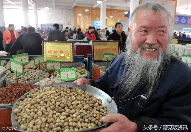 致富经养老鼠_致富鼠养殖项目_致富鼠养殖项目介绍