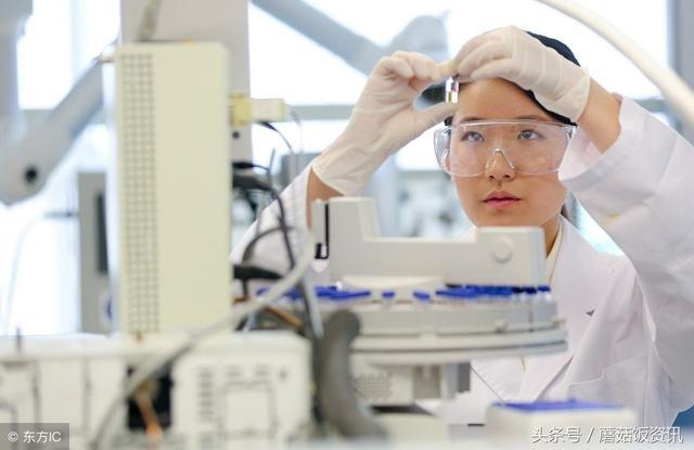 致富鼠养殖项目介绍_致富鼠养殖项目_致富经养老鼠
