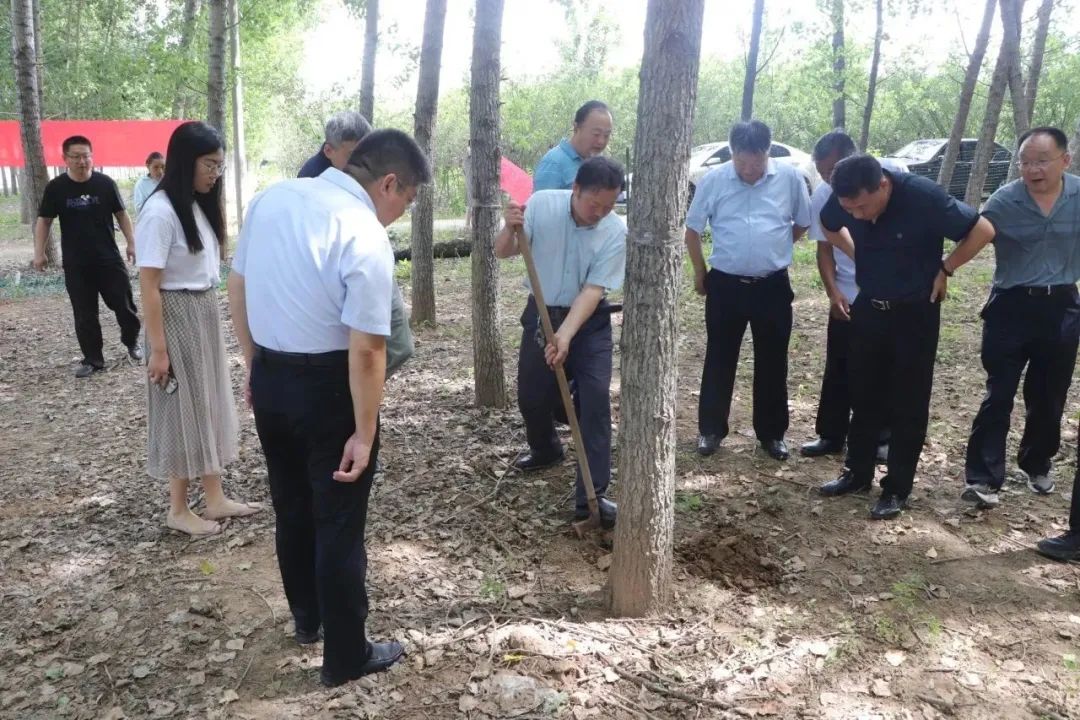 山东养殖金蝉的技术_养殖山东金蝉技术怎么样_山东金蝉养殖基地骗局