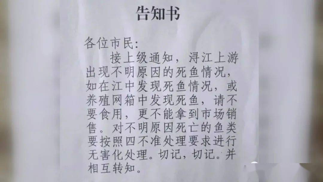 致富经网箱养鱼视频_养鱼视频致富经_视频致富养鱼网箱下载