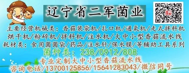 邛崃香菇种植技术中心_香菇种植科技苑_香菇种植基地负责人电话大全