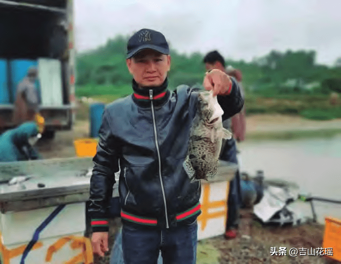 养殖资料鳜鱼技术要求_鳜鱼养殖技术资料_养殖资料鳜鱼技术与管理